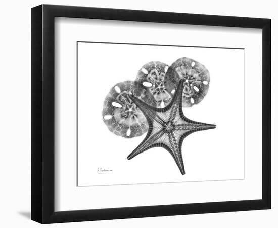 Starfish and Sand Dollar-Albert Koetsier-Framed Art Print