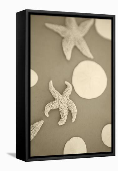 Starfish and Sand Dollars I-Karyn Millet-Framed Premier Image Canvas