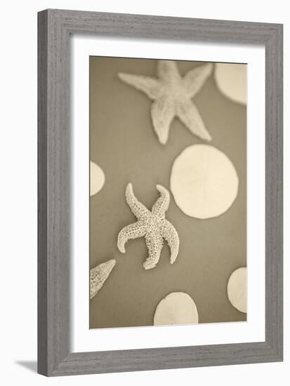 Starfish and Sand Dollars I-Karyn Millet-Framed Photographic Print