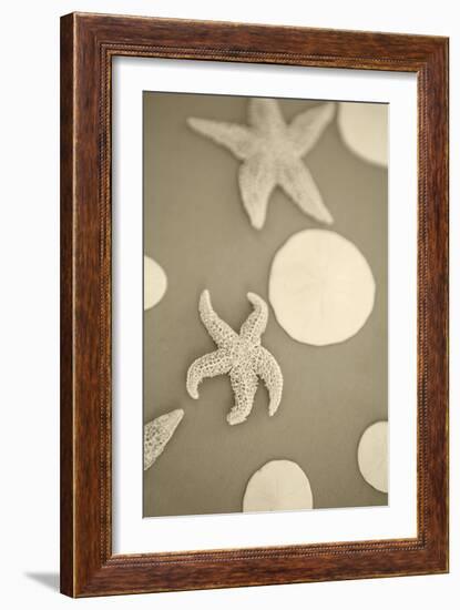 Starfish and Sand Dollars I-Karyn Millet-Framed Photographic Print