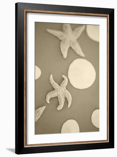 Starfish and Sand Dollars I-Karyn Millet-Framed Photographic Print