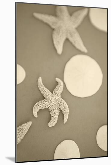 Starfish and Sand Dollars I-Karyn Millet-Mounted Photographic Print