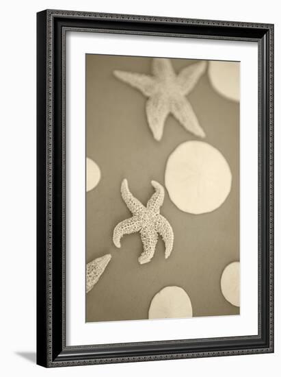 Starfish and Sand Dollars I-Karyn Millet-Framed Photographic Print