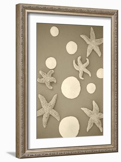 Starfish and Sand Dollars II-Karyn Millet-Framed Photographic Print