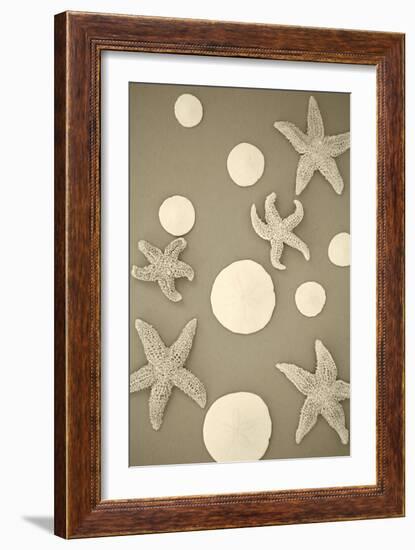 Starfish and Sand Dollars II-Karyn Millet-Framed Photographic Print