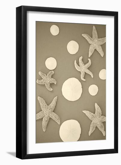 Starfish and Sand Dollars II-Karyn Millet-Framed Photographic Print