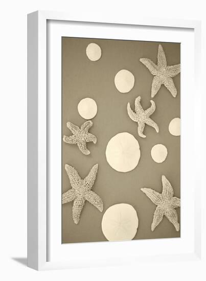 Starfish and Sand Dollars II-Karyn Millet-Framed Photographic Print