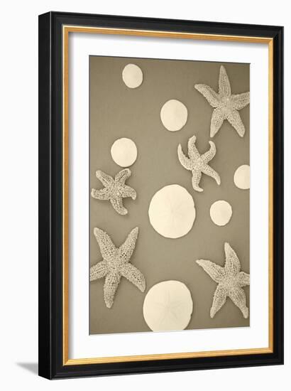 Starfish and Sand Dollars II-Karyn Millet-Framed Photographic Print