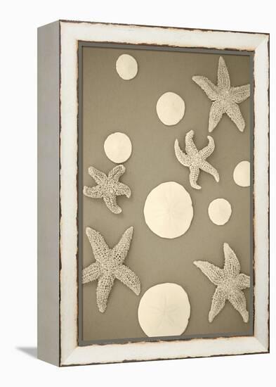 Starfish and Sand Dollars II-Karyn Millet-Framed Premier Image Canvas