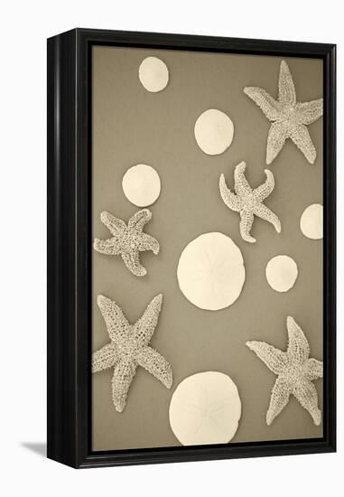 Starfish and Sand Dollars II-Karyn Millet-Framed Premier Image Canvas