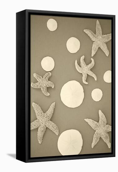 Starfish and Sand Dollars II-Karyn Millet-Framed Premier Image Canvas