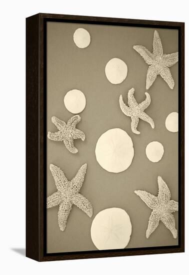 Starfish and Sand Dollars II-Karyn Millet-Framed Premier Image Canvas