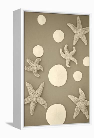 Starfish and Sand Dollars II-Karyn Millet-Framed Premier Image Canvas