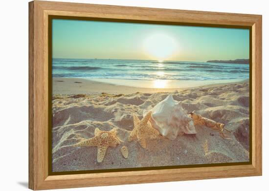 Starfish and Shells on the Beach at Sunrise-Deyan Georgiev-Framed Premier Image Canvas