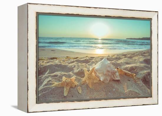 Starfish and Shells on the Beach at Sunrise-Deyan Georgiev-Framed Premier Image Canvas