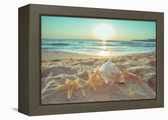 Starfish and Shells on the Beach at Sunrise-Deyan Georgiev-Framed Premier Image Canvas