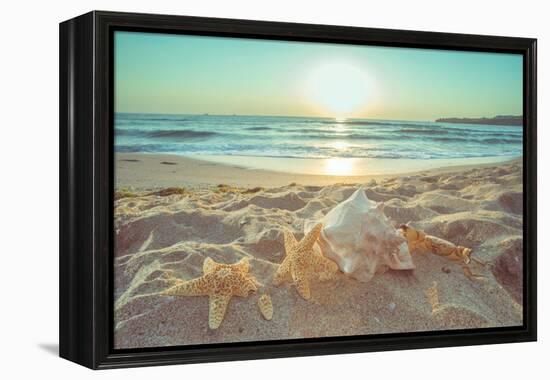 Starfish and Shells on the Beach at Sunrise-Deyan Georgiev-Framed Premier Image Canvas