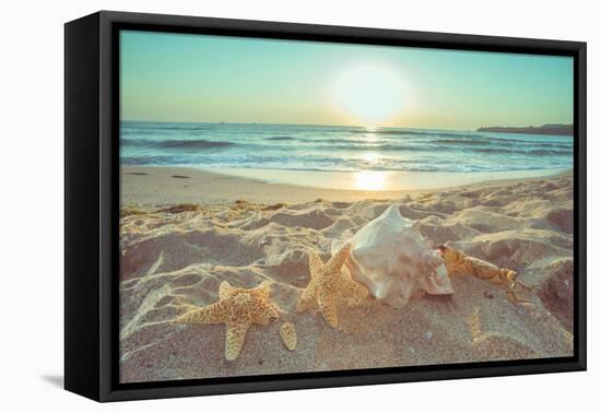 Starfish and Shells on the Beach at Sunrise-Deyan Georgiev-Framed Premier Image Canvas