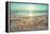 Starfish and Shells on the Beach at Sunrise-Deyan Georgiev-Framed Premier Image Canvas