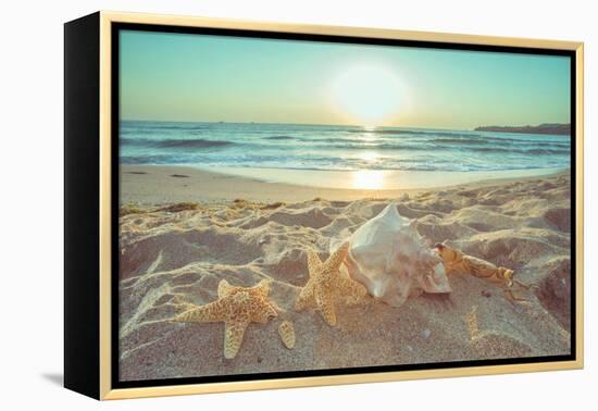 Starfish and Shells on the Beach at Sunrise-Deyan Georgiev-Framed Premier Image Canvas