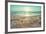 Starfish and Shells on the Beach at Sunrise-Deyan Georgiev-Framed Photographic Print