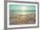 Starfish and Shells on the Beach at Sunrise-Deyan Georgiev-Framed Photographic Print