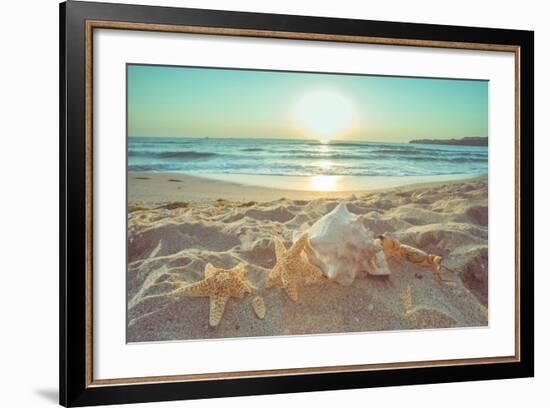 Starfish and Shells on the Beach at Sunrise-Deyan Georgiev-Framed Photographic Print