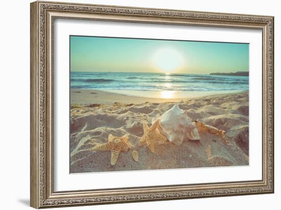 Starfish and Shells on the Beach at Sunrise-Deyan Georgiev-Framed Photographic Print