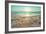 Starfish and Shells on the Beach at Sunrise-Deyan Georgiev-Framed Photographic Print