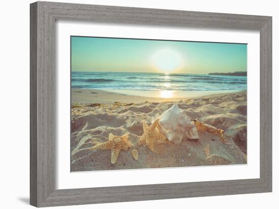 Starfish and Shells on the Beach at Sunrise-Deyan Georgiev-Framed Photographic Print