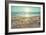 Starfish and Shells on the Beach at Sunrise-Deyan Georgiev-Framed Photographic Print