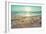 Starfish and Shells on the Beach at Sunrise-Deyan Georgiev-Framed Photographic Print