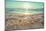 Starfish and Shells on the Beach at Sunrise-Deyan Georgiev-Mounted Photographic Print