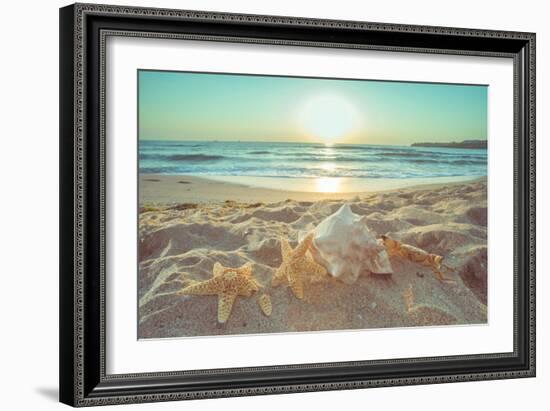 Starfish and Shells on the Beach at Sunrise-Deyan Georgiev-Framed Photographic Print