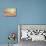 Starfish and Shells on the Beach at Sunrise-Deyan Georgiev-Premium Photographic Print displayed on a wall