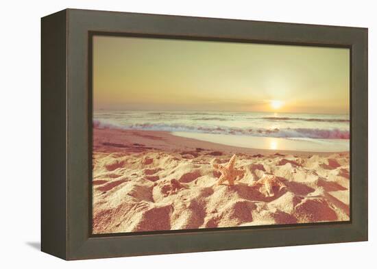 Starfish and Shells on the Beach at Sunrise-Deyan Georgiev-Framed Premier Image Canvas