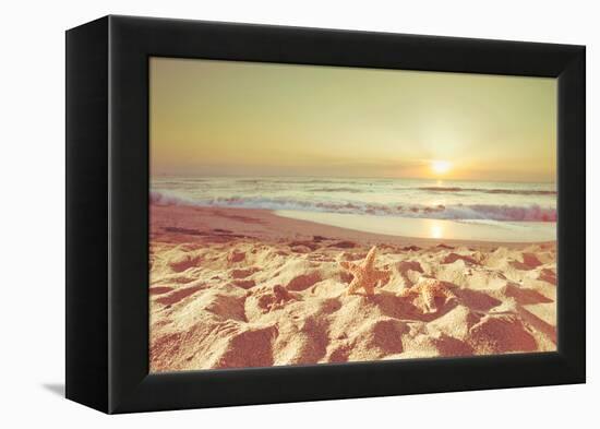 Starfish and Shells on the Beach at Sunrise-Deyan Georgiev-Framed Premier Image Canvas