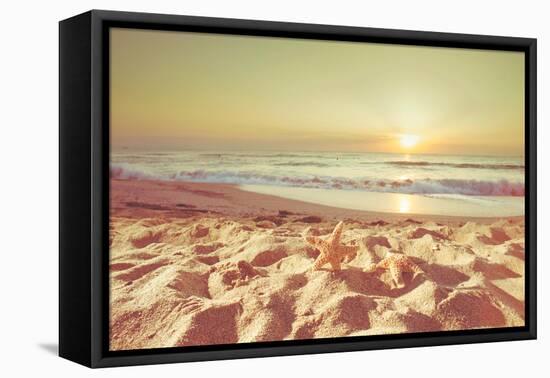 Starfish and Shells on the Beach at Sunrise-Deyan Georgiev-Framed Premier Image Canvas