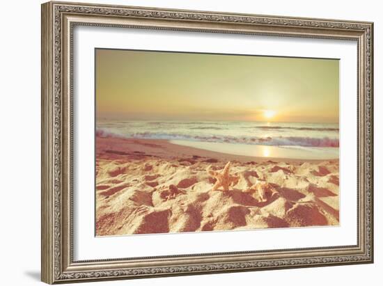 Starfish and Shells on the Beach at Sunrise-Deyan Georgiev-Framed Photographic Print