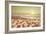 Starfish and Shells on the Beach at Sunrise-Deyan Georgiev-Framed Photographic Print