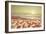 Starfish and Shells on the Beach at Sunrise-Deyan Georgiev-Framed Photographic Print