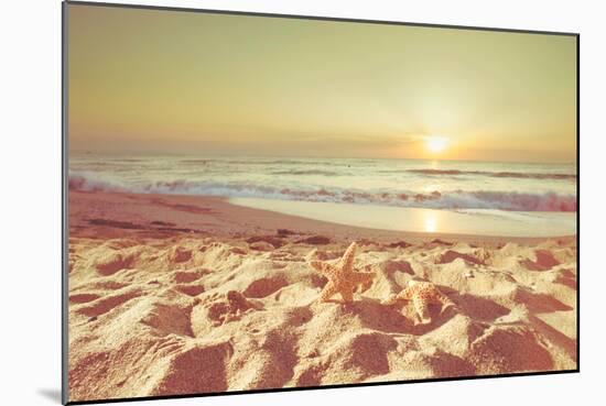 Starfish and Shells on the Beach at Sunrise-Deyan Georgiev-Mounted Photographic Print