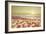 Starfish and Shells on the Beach at Sunrise-Deyan Georgiev-Framed Photographic Print