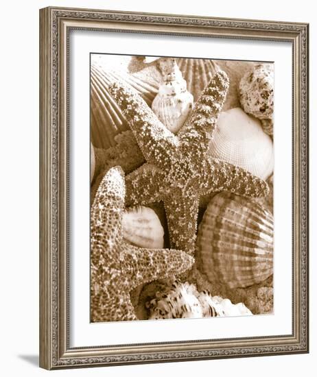 Starfish and Shells-null-Framed Art Print