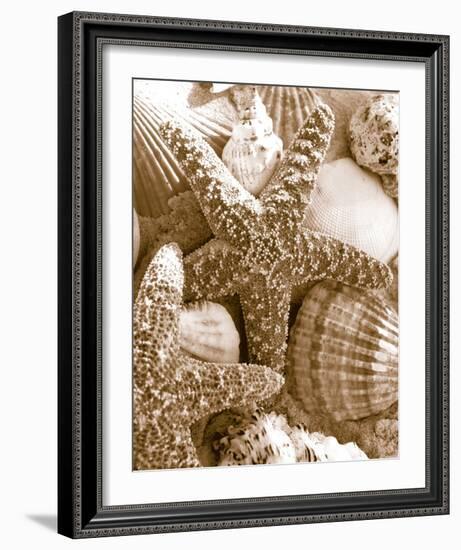 Starfish and Shells-null-Framed Art Print