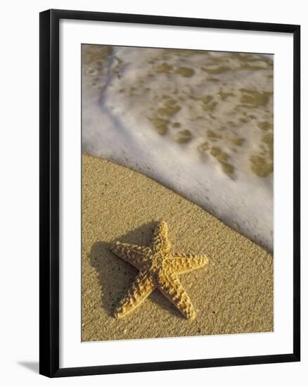 Starfish and Surf of Makena Beach, Maui, Hawaii, USA-Darrell Gulin-Framed Photographic Print