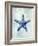 Starfish B-GI ArtLab-Framed Giclee Print