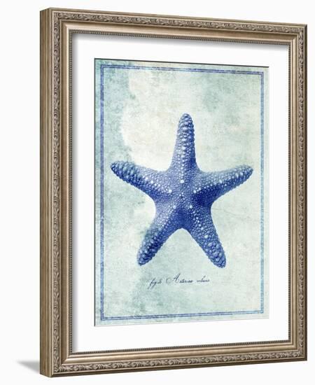 Starfish B-GI ArtLab-Framed Giclee Print