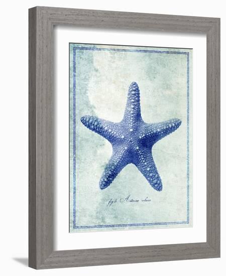 Starfish B-GI ArtLab-Framed Giclee Print