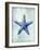 Starfish B-GI ArtLab-Framed Giclee Print